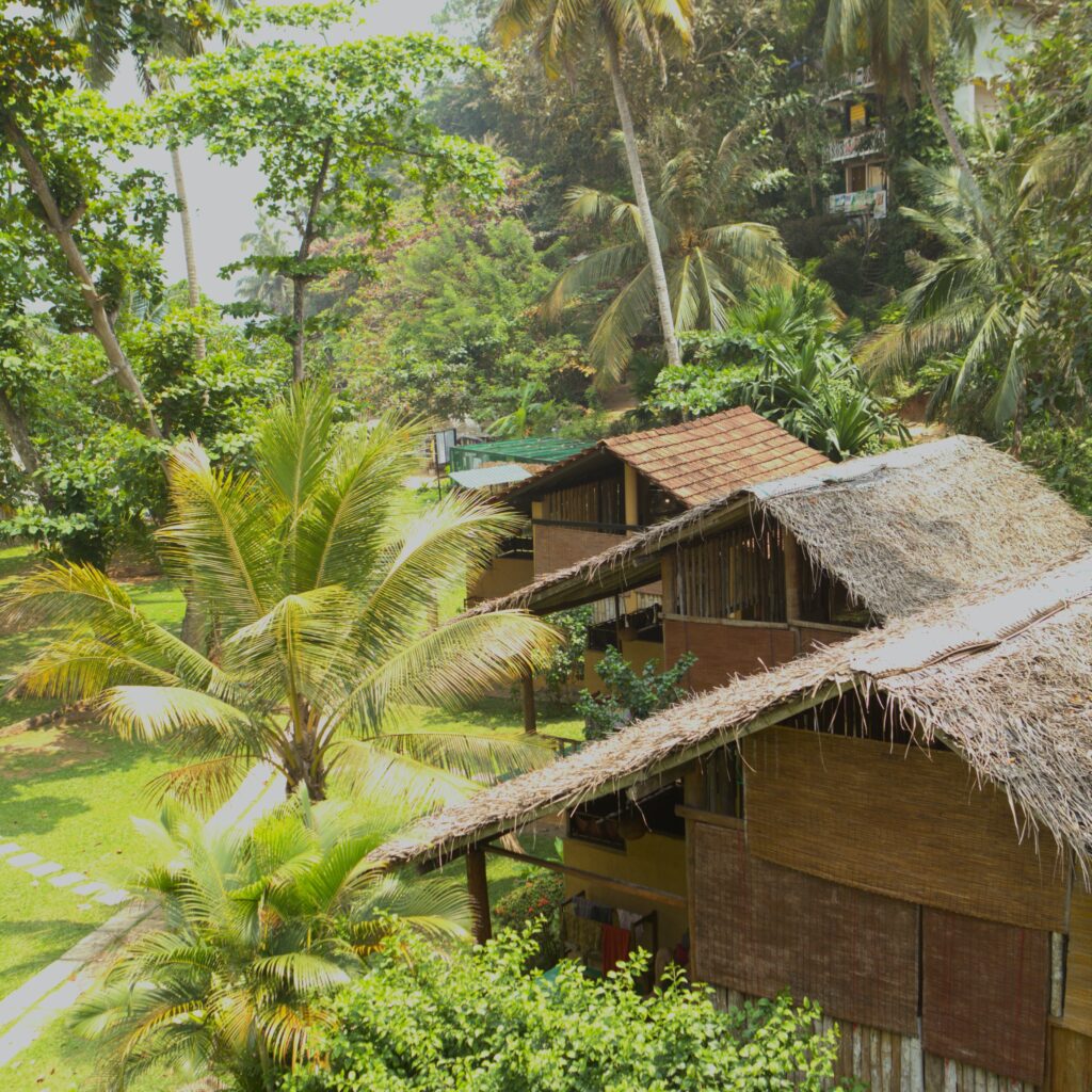 Timber cabin rooftops among coconut palms and tropical garden at Talalla Retreat, Sri Lanka